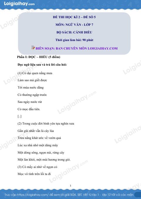 Đề thi học kì 2 Văn 7 Cánh diều - Đề số 5